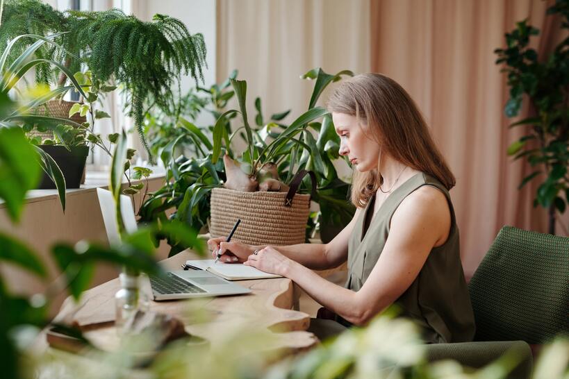 Comment utiliser les plantes d’intérieur pour rafraichir l’air